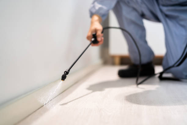 Licensed Exterminator service in Timonium, MD - Show Me Pest Control