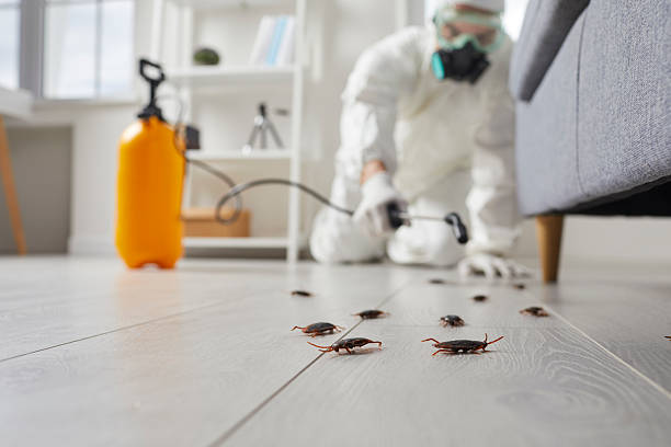Commercial Kitchen Cockroach Control in Timonium